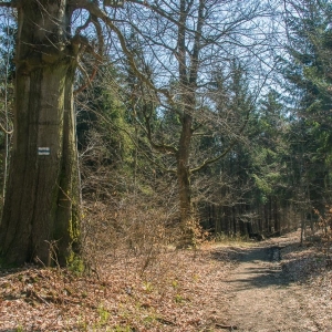 gora-klodzka-fot-ewajak04
