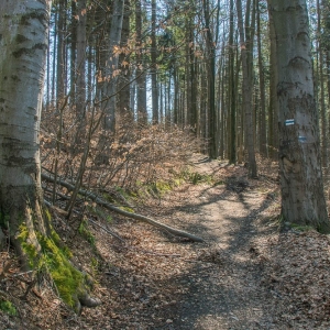 gora-klodzka-fot-ewajak10