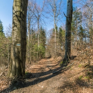 gora-klodzka-fot-ewajak59