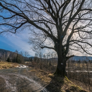 staroscinskie-sklay-fot-ewajak02