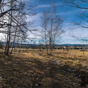 staroscinskie-sklay-fot-ewajak15