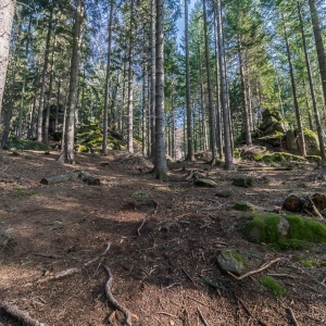 staroscinskie-sklay-fot-ewajak19