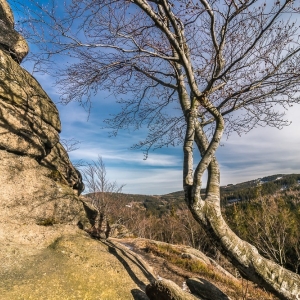 staroscinskie-sklay-fot-ewajak54