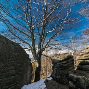 staroscinskie-sklay-fot-ewajak56