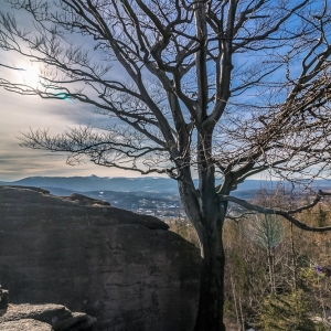 staroscinskie-sklay-fot-ewajak57