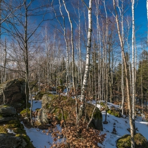 staroscinskie-sklay-fot-ewajak61