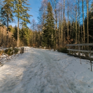 staroscinskie-sklay-fot-ewajak72