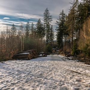 staroscinskie-sklay-fot-ewajak79