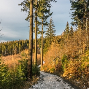 staroscinskie-sklay-fot-ewajak81