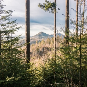 staroscinskie-sklay-fot-ewajak82