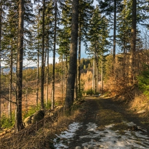 staroscinskie-sklay-fot-ewajak84