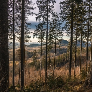 staroscinskie-sklay-fot-ewajak85