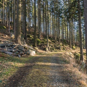 staroscinskie-sklay-fot-ewajak86