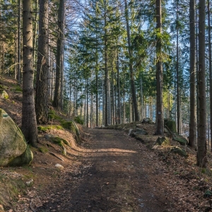 staroscinskie-sklay-fot-ewajak87