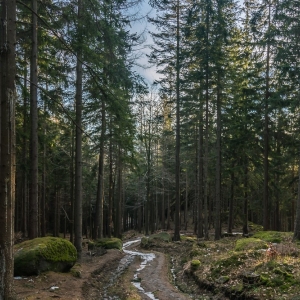 staroscinskie-sklay-fot-ewajak89