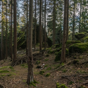 staroscinskie-sklay-fot-ewajak90