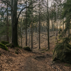 staroscinskie-sklay-fot-ewajak92