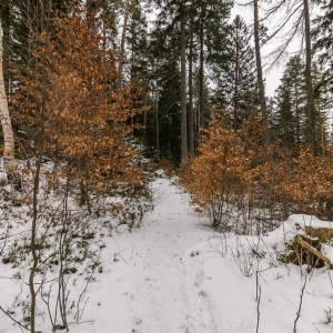 wieza-mlynica-fot-turysta38