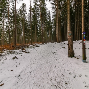 wieza-mlynica-fot-turysta44
