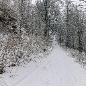 wieza-na-czerniawskiej-kopie-fot-ewajak06