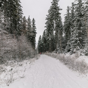 wieza-na-czerniawskiej-kopie-fot-ewajak12