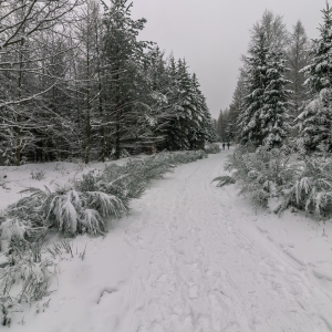 wieza-na-czerniawskiej-kopie-fot-ewajak13