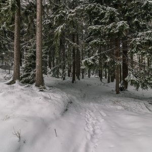 wieza-na-czerniawskiej-kopie-fot-ewajak14