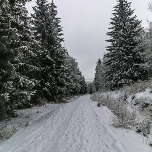 wieza-na-czerniawskiej-kopie-fot-ewajak15