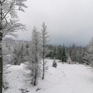 wieza-na-czerniawskiej-kopie-fot-ewajak25