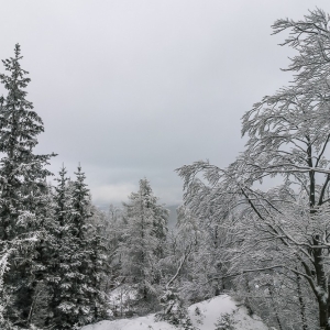 wieza-na-czerniawskiej-kopie-fot-ewajak26