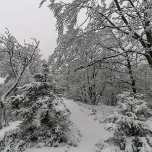 wieza-na-czerniawskiej-kopie-fot-ewajak46