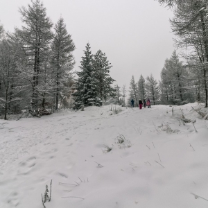 wieza-na-czerniawskiej-kopie-fot-ewajak52