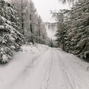 wieza-na-czerniawskiej-kopie-fot-ewajak53