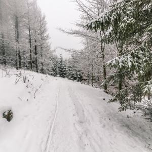 wieza-na-czerniawskiej-kopie-fot-ewajak54