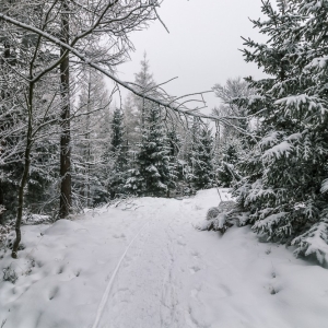 wieza-na-czerniawskiej-kopie-fot-ewajak56