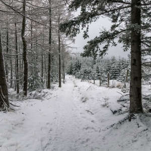 wieza-na-czerniawskiej-kopie-fot-ewajak57