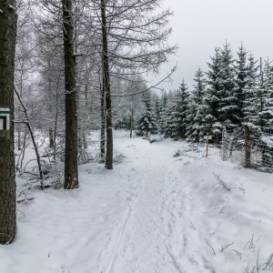 wieza-na-czerniawskiej-kopie-fot-ewajak58