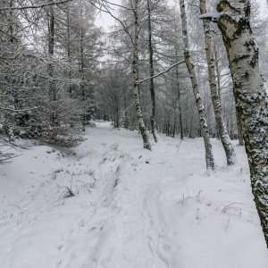 wieza-na-czerniawskiej-kopie-fot-ewajak59