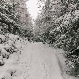 wieza-na-czerniawskiej-kopie-fot-ewajak60