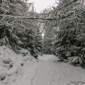 wieza-na-czerniawskiej-kopie-fot-ewajak61