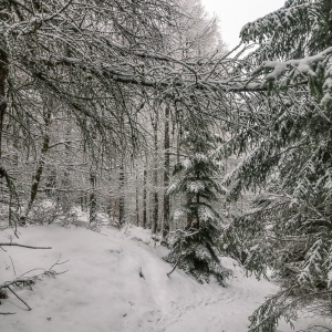 wieza-na-czerniawskiej-kopie-fot-ewajak62