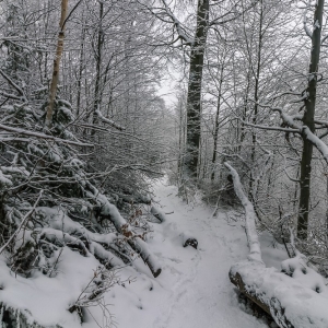 wieza-na-czerniawskiej-kopie-fot-ewajak63