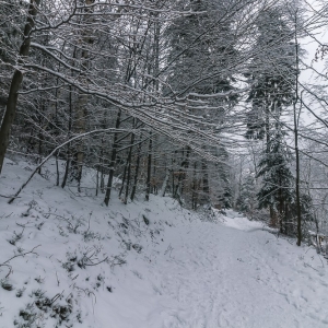 wieza-na-czerniawskiej-kopie-fot-ewajak64