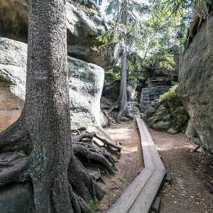 bledne-skalki-szczeliniec-fot-ewajak018