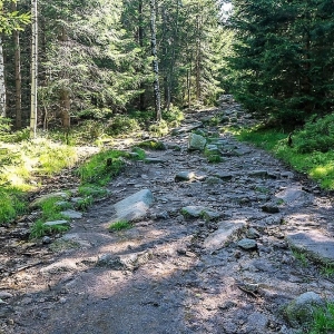 sniezne-kotly-fot-ewajak01