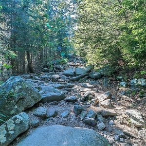 sniezne-kotly-fot-ewajak02
