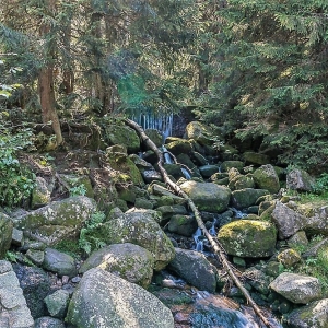 sniezne-kotly-fot-ewajak03