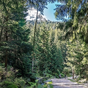 sniezne-kotly-fot-ewajak04
