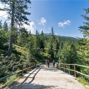 sniezne-kotly-fot-ewajak06