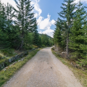 sniezne-kotly-fot-ewajak12